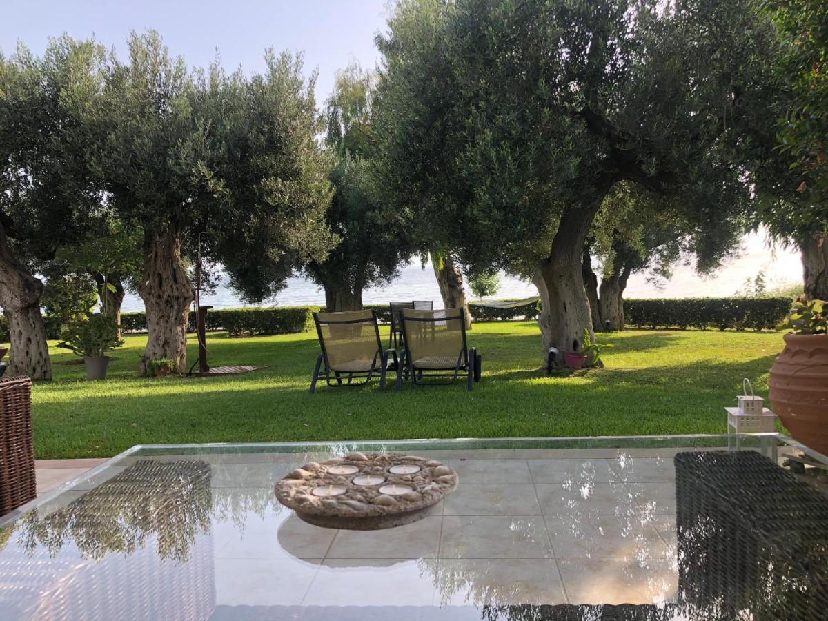 Villa Anemi نيا سكيوني المظهر الخارجي الصورة