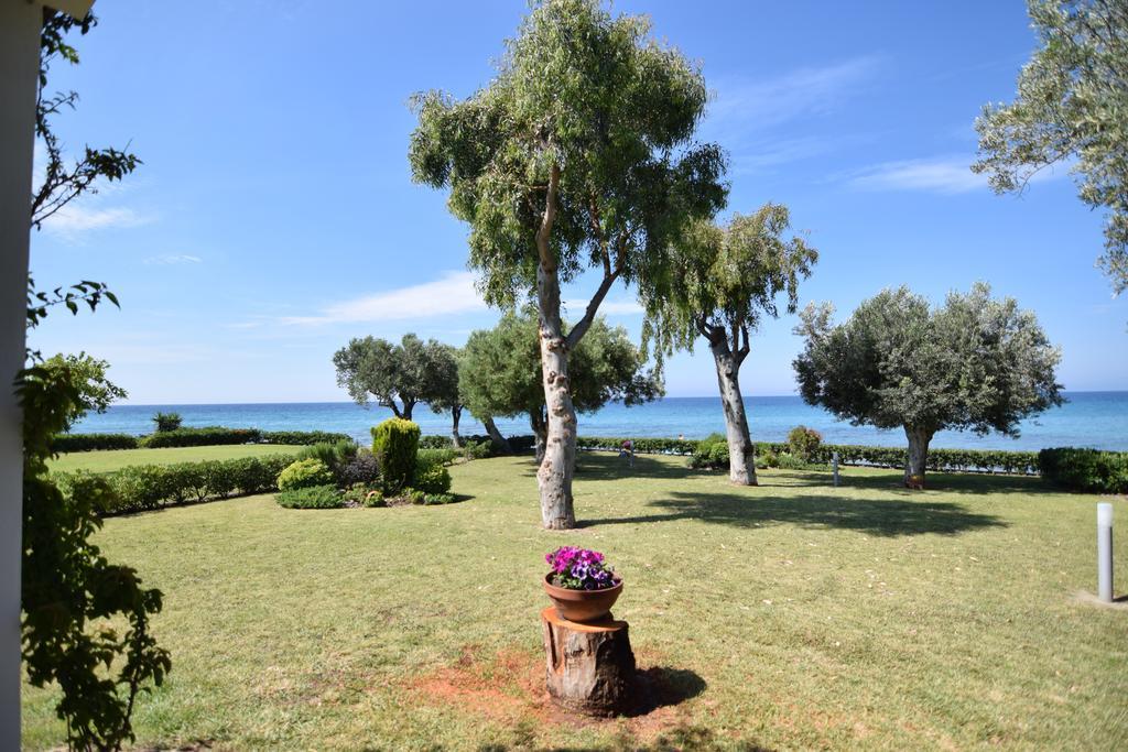 Villa Anemi نيا سكيوني المظهر الخارجي الصورة